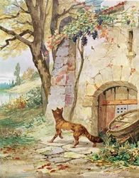 Der Fuchs und die Trauben, Illustration für 